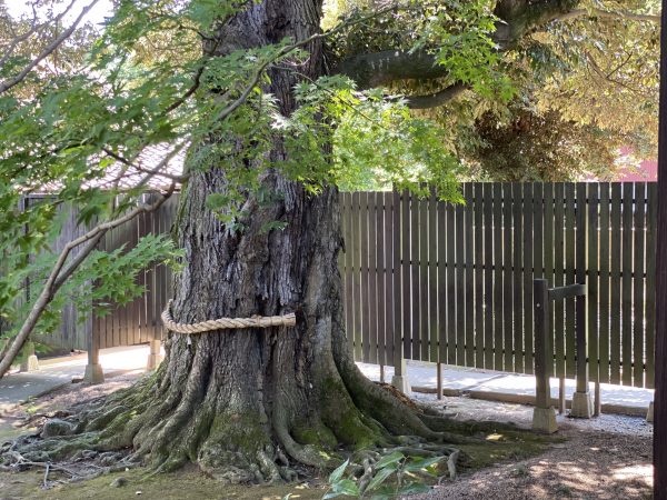 藤右ェ門wedding：穏やかウエディング