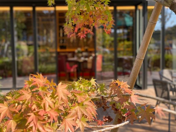 藤右ェ門wedding：藤右ェ門WEDDING in KASHIWA-NO-HA