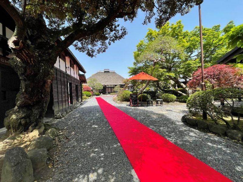 藤右ェ門wedding：愛犬ルビーが主役？の人前式！