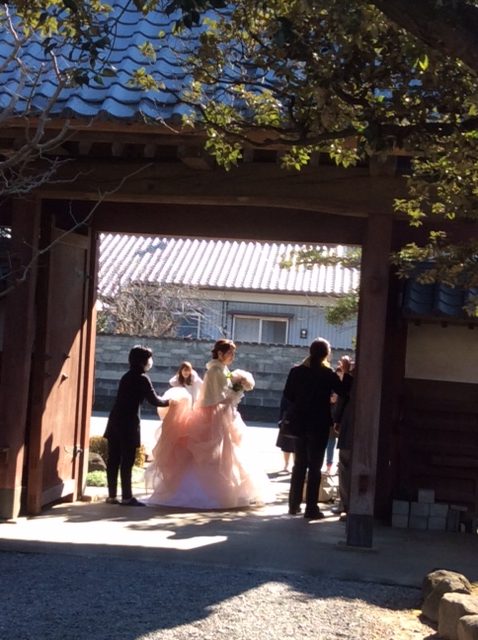 藤右ェ門wedding：後撮り日和